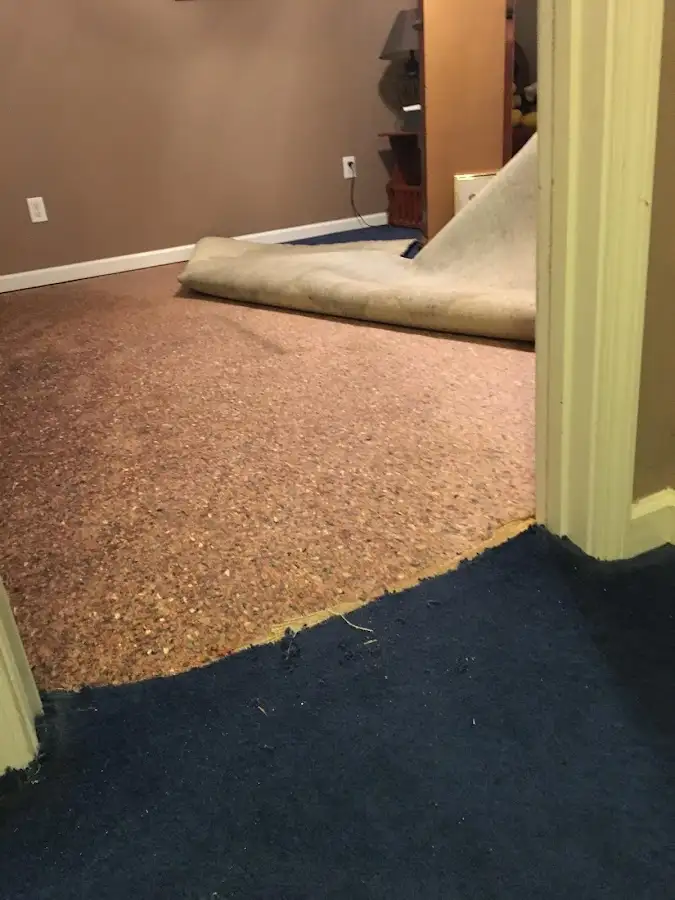 Carpet pad removal revealing water damage during Drying & Dehumidification in Granby